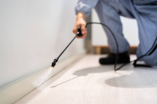 Licensed Cockroach Control service in Rayville, LA - Nex Pest Control