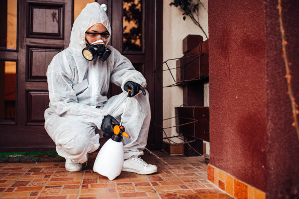 Reliable Cockroach Control contractor in Rayville, LA by Nex Pest Control